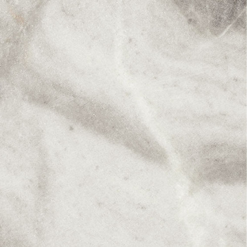 Amazon Grey